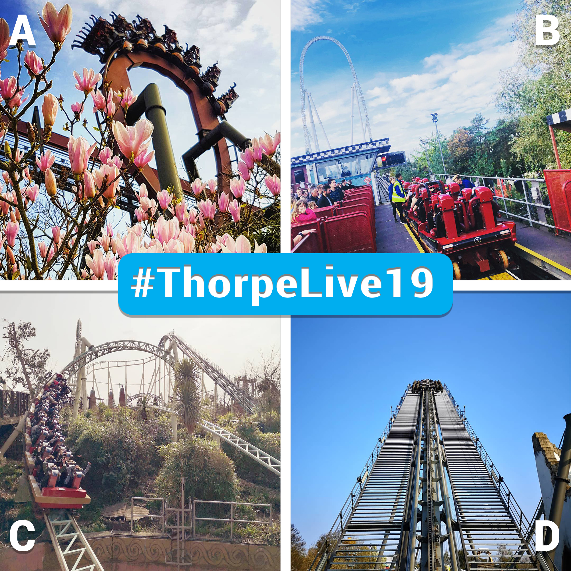 01 - Thorpe Park ART Shortlist.png